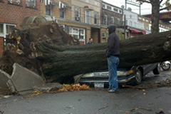 Jewish Federation opens fund for Hurricane Sandy relief photo_md
